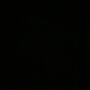 Meet your Posher, Kiley